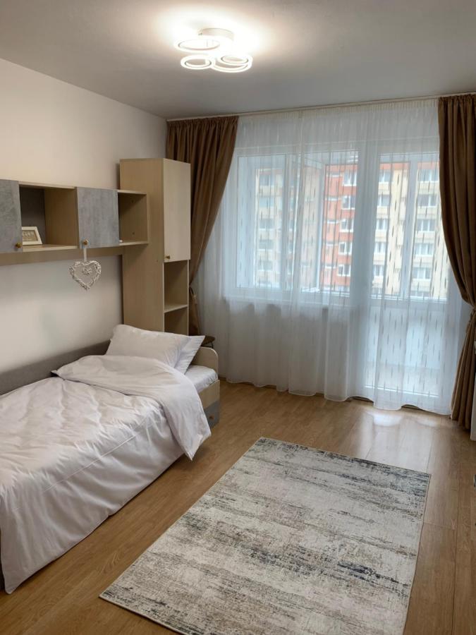 Victoriei Boulevard Private Apartment Braşov Buitenkant foto