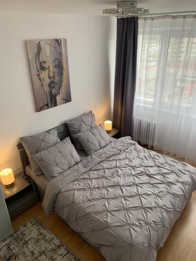 Victoriei Boulevard Private Apartment Braşov Buitenkant foto