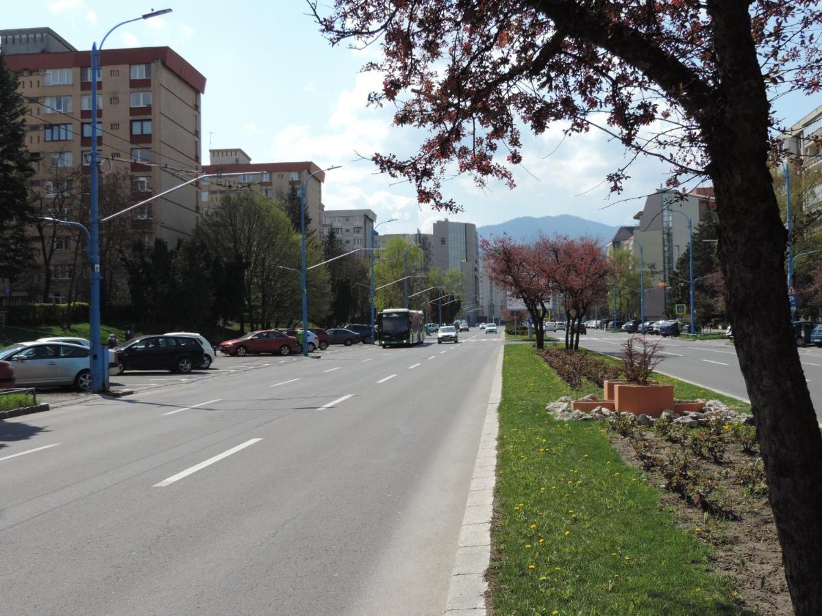 Victoriei Boulevard Private Apartment Braşov Buitenkant foto
