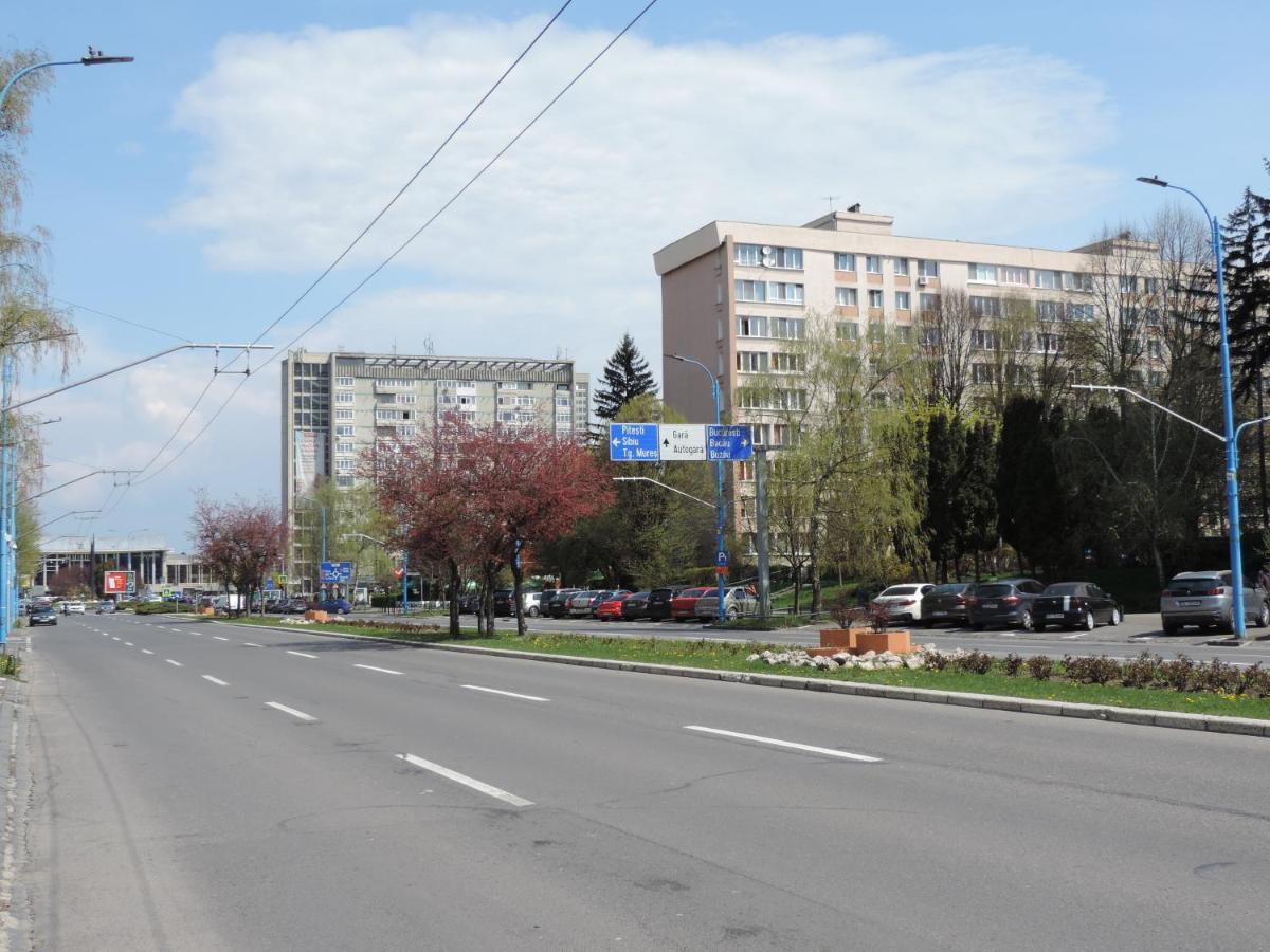 Victoriei Boulevard Private Apartment Braşov Buitenkant foto