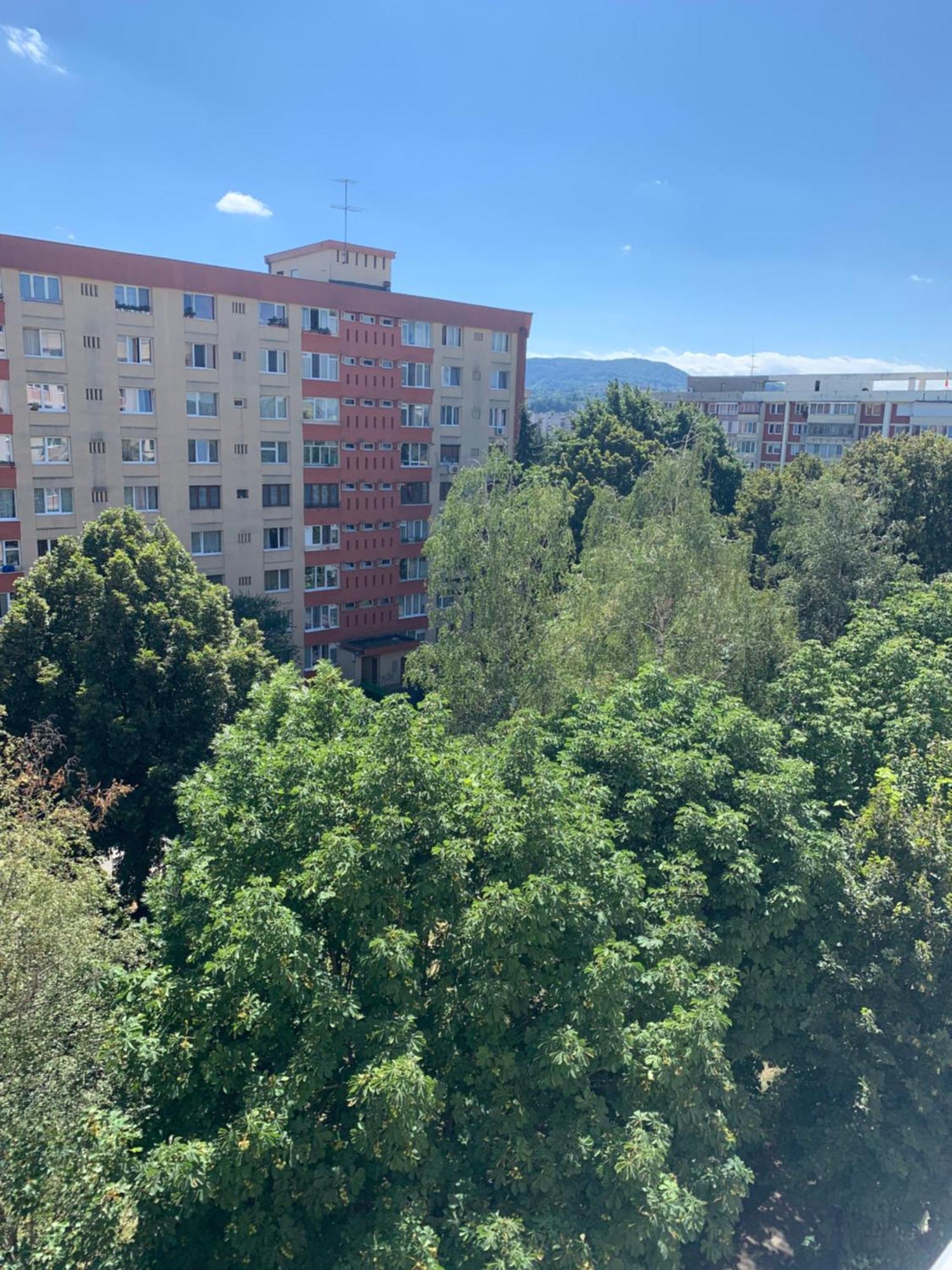 Victoriei Boulevard Private Apartment Braşov Buitenkant foto